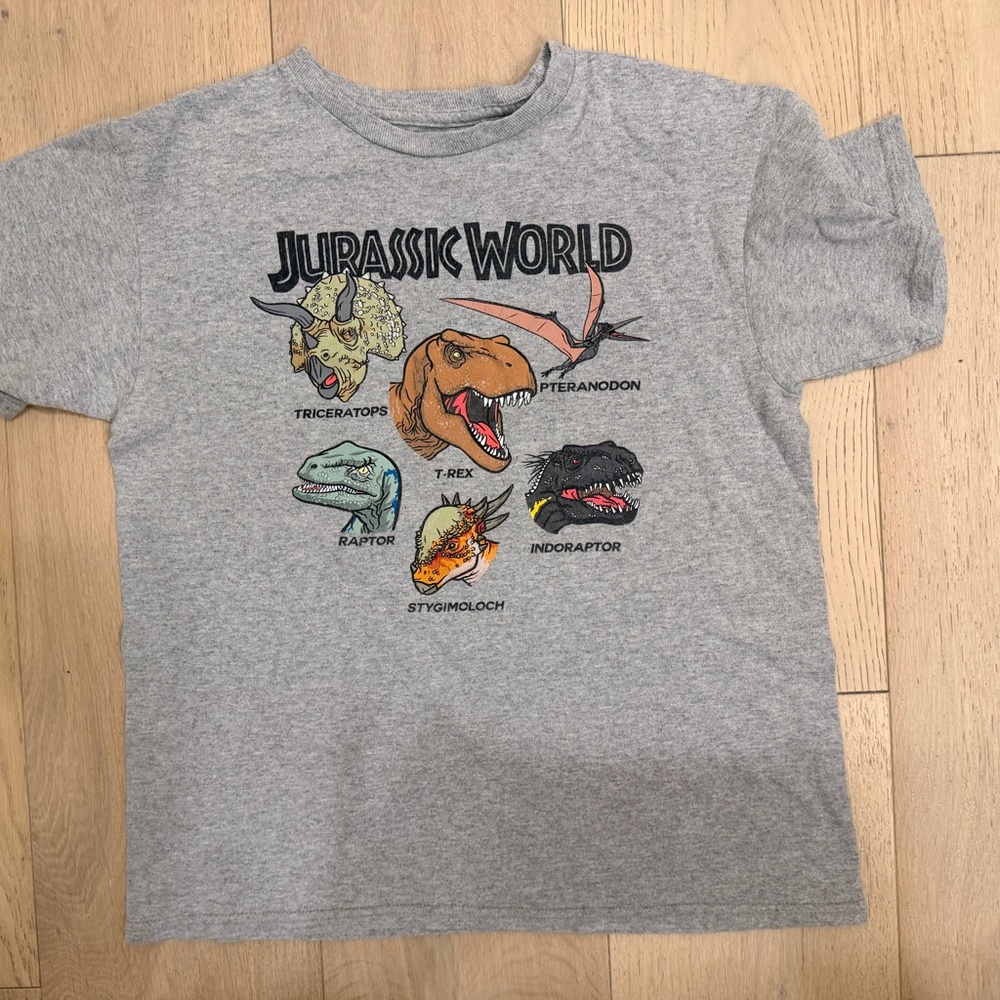 Jurassic World Gray Dinosaur Kids T-Shirt size M